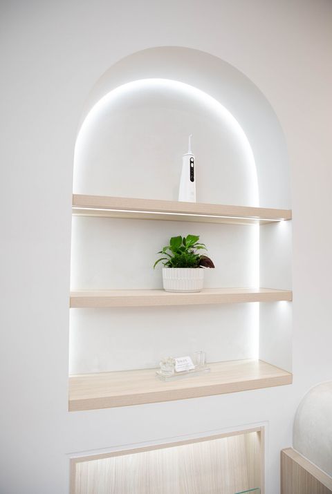 Arched, backlit shelving with plants in the Y3 Smiles Dental reception area